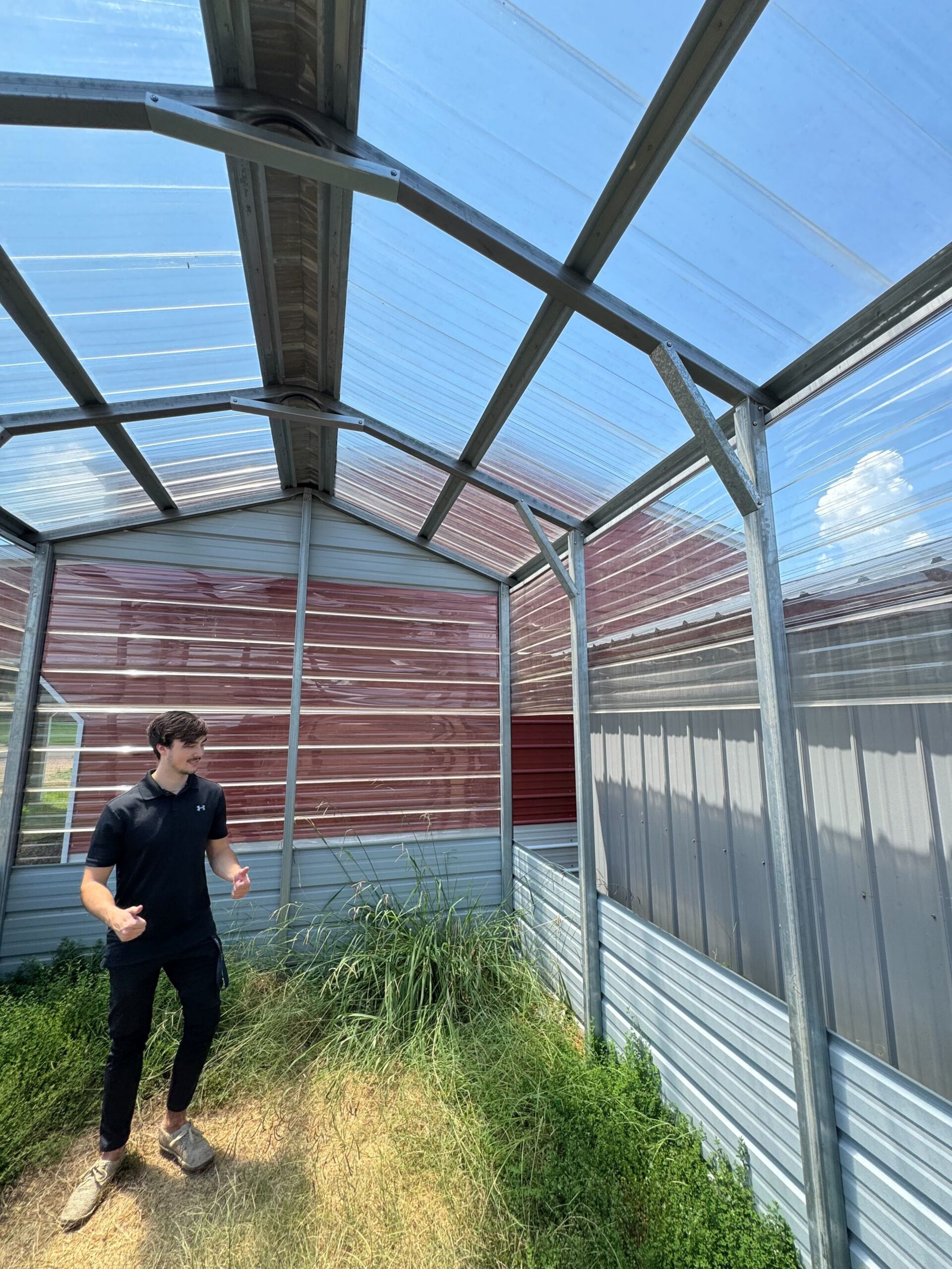 10x12x8 greenhouse source photo 02